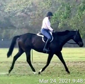 Meet your Posher, Kay